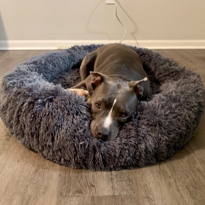 BubbaBed™ | Soothing Calming Dog Bed