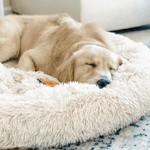 تحميل الصورة في عارض المعرض ،BubbaBed™ | Soothing Calming Dog Bed
